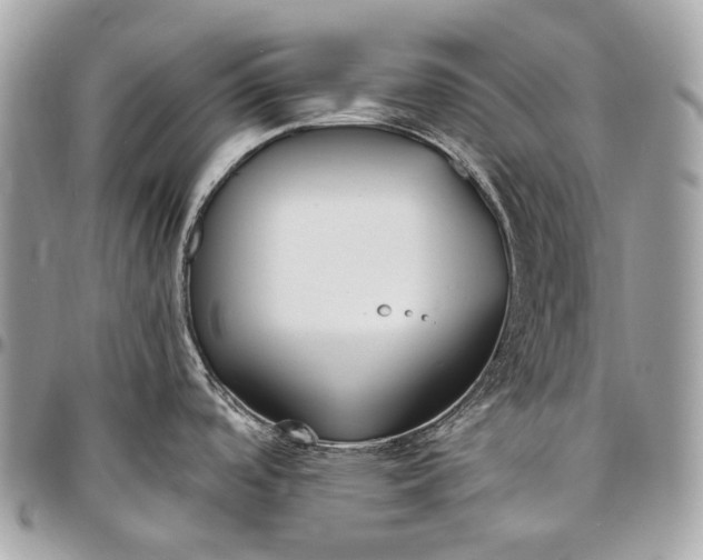 X0000096451488200802071800