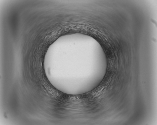 X0000096451489200802071759