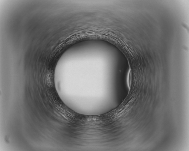 X0000096451490200802071759