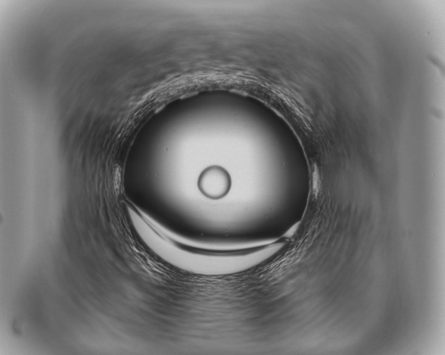 X0000096451492200802071759