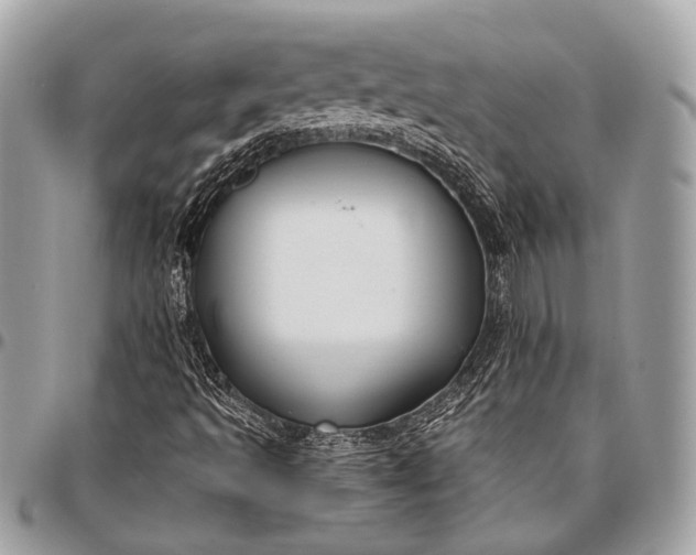 X0000096451493200802071759