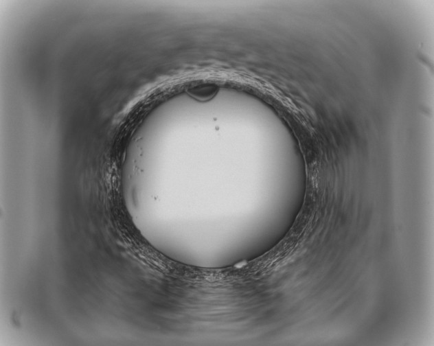 X0000096451495200802071759