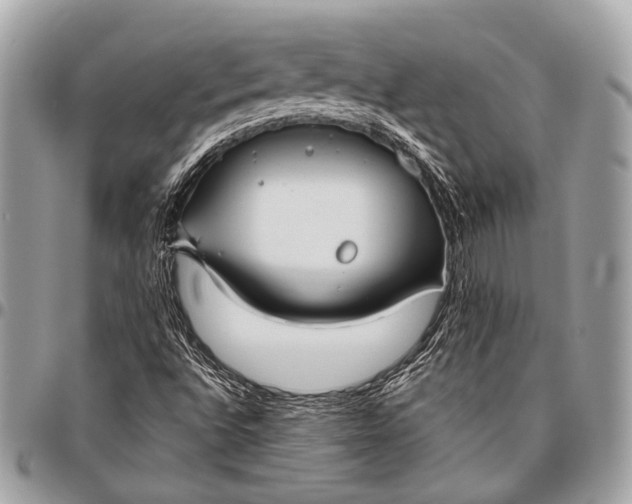 X0000096451496200802071759