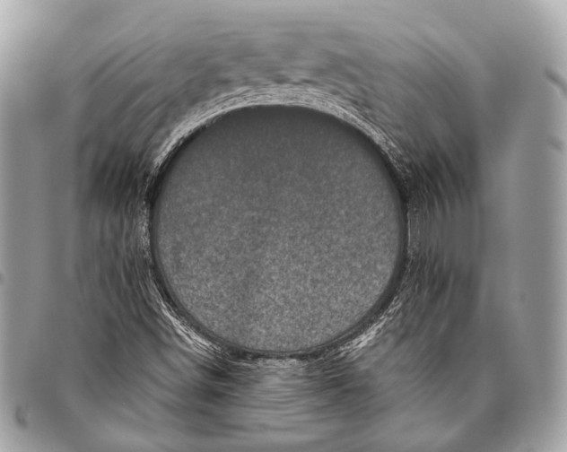 X0000096451498200802071759