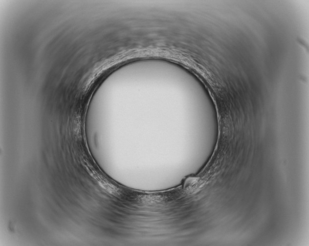 X0000096451499200802071759