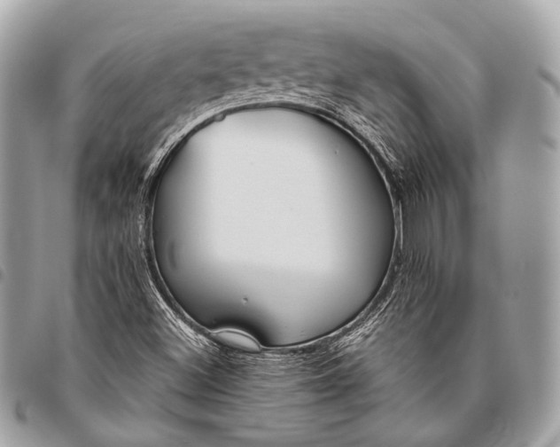 X0000096451500200802071759