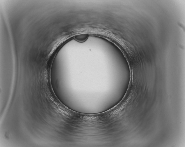 X0000096451501200802071759