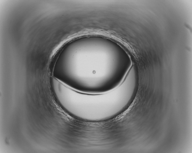 X0000096451502200802071759