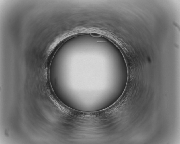 X0000096451503200802071759