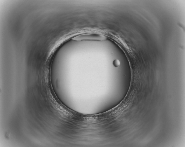 X0000096451504200802071759