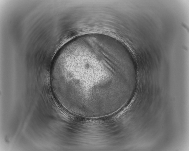 X0000096451505200802071759