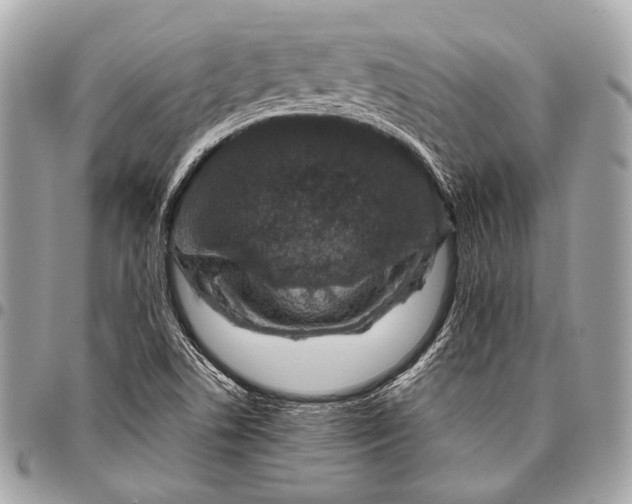 X0000096451506200802071759