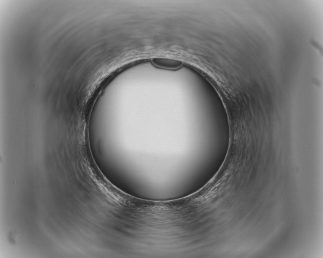 X0000096451507200802071759