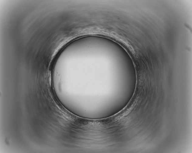 X0000096451509200802071759