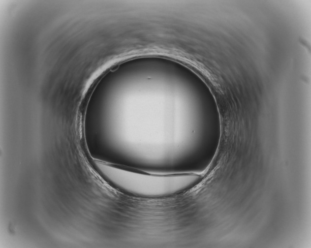 X0000096451510200802071759