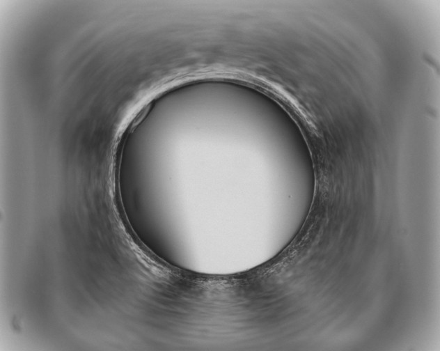 X0000096451512200802071759