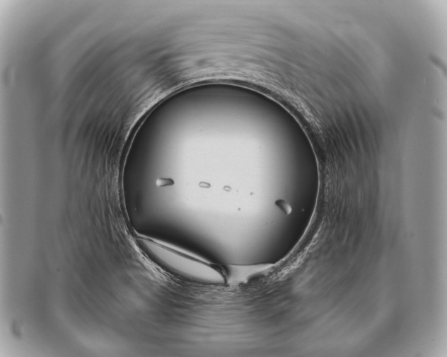 X0000096451513200802071759