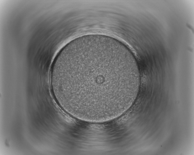 X0000096451514200802071759