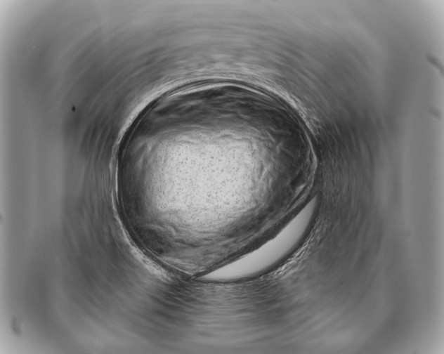 X0000096451515200802071759