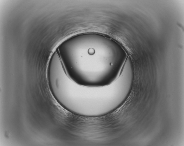 X0000096451516200802071759