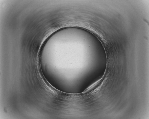 X0000096451517200802071759