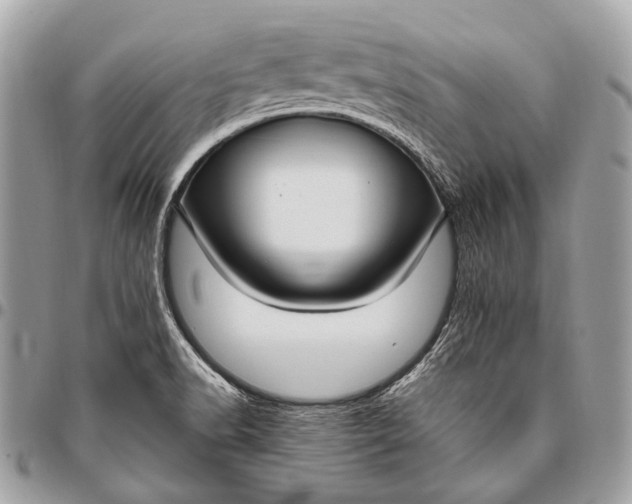 X0000096451518200802071759