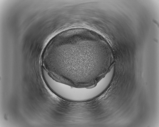 X0000096451519200802071759