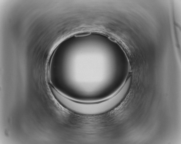 X0000096451520200802071759