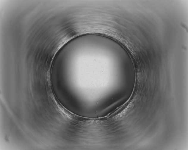 X0000096451521200802071800