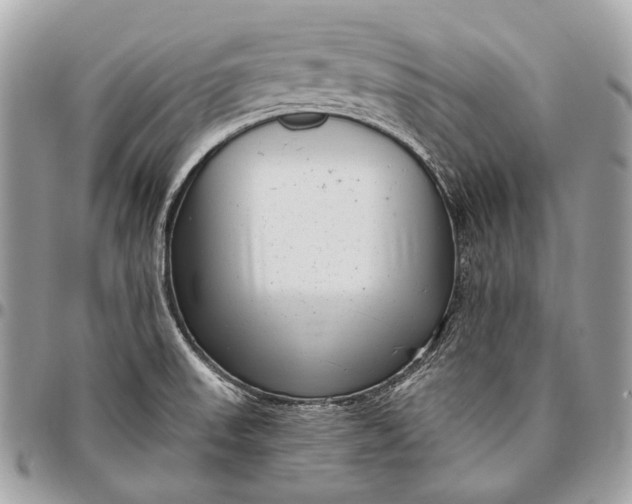 X0000096451523200802071800