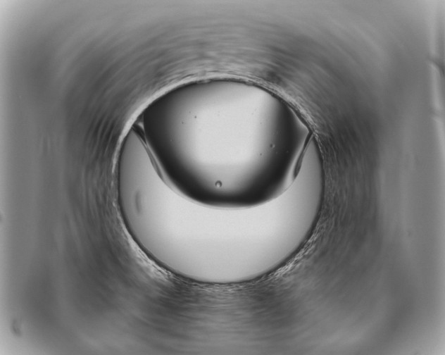 X0000096451524200802071800