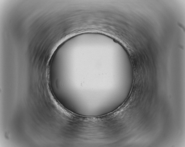 X0000096451526200802071800