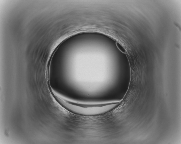 X0000096451527200802071800