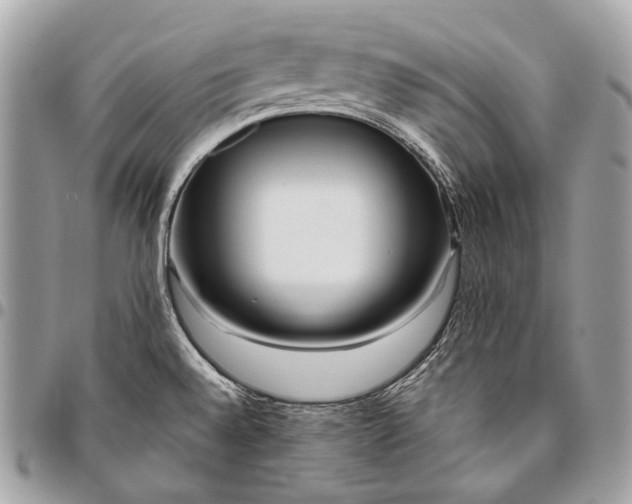 X0000096451528200802071800