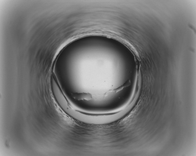 X0000096451530200802071800