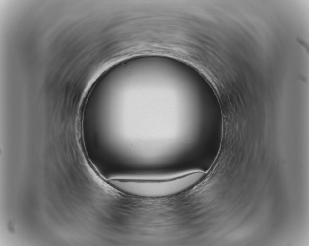 X0000096451531200802071800