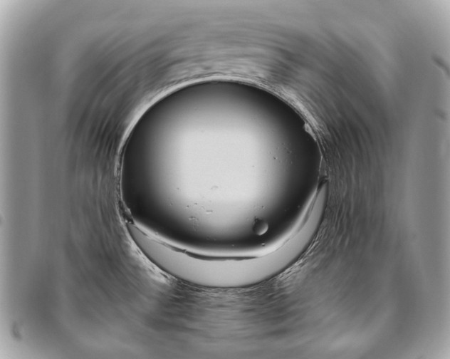 X0000096451532200802071800