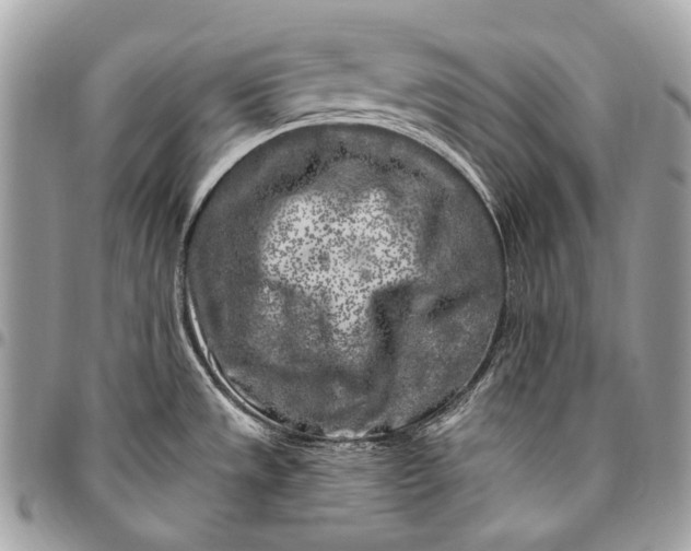 X0000096451533200802071800