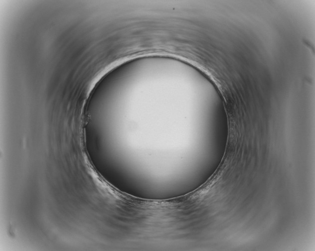 X0000096451534200802071800