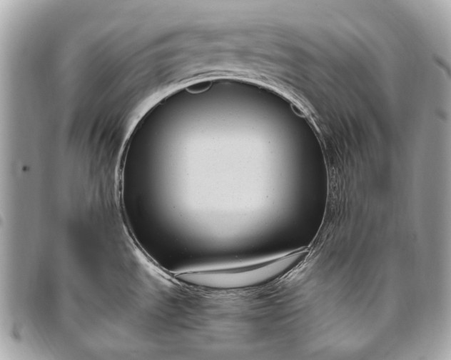 X0000096451535200802071800