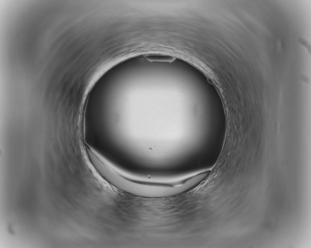 X0000096451536200802071800