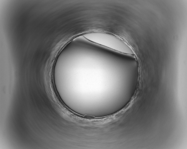 X0000096450001200802141521