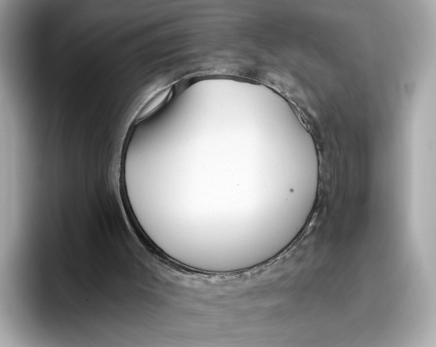 X0000096450003200802141521