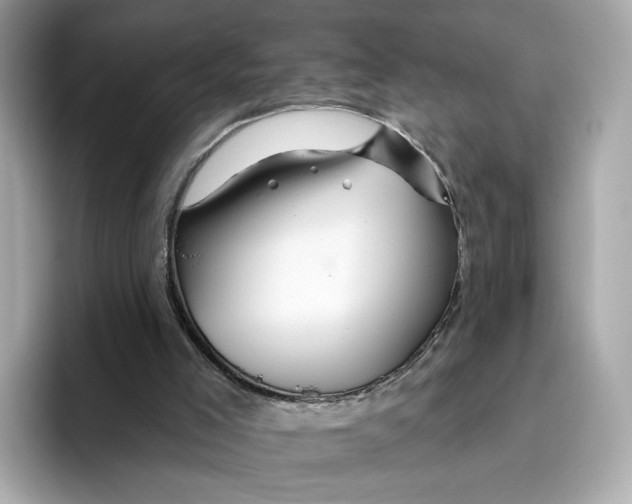 X0000096450005200802141521