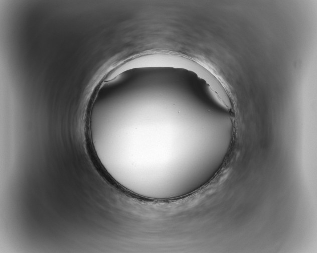 X0000096450007200802141521