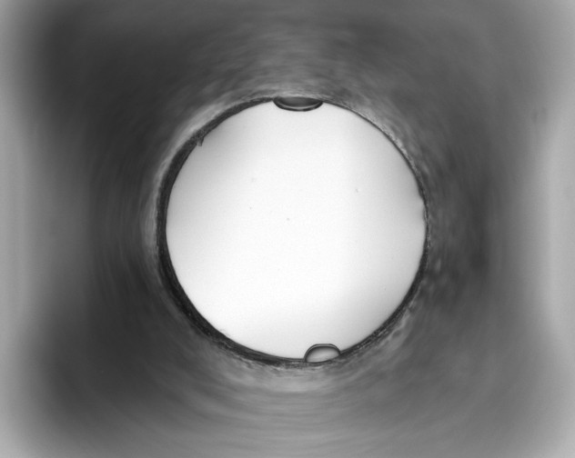 X0000096450008200802141521