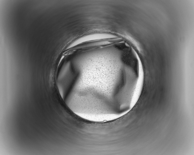 X0000096450009200802141521