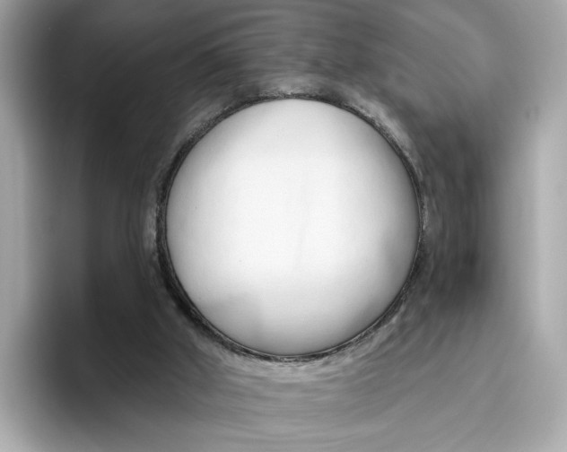 X0000096450010200802141521