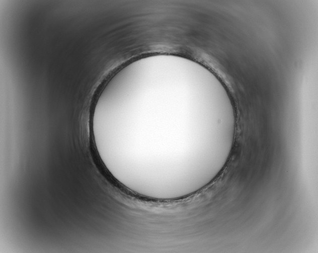 X0000096450011200802141521