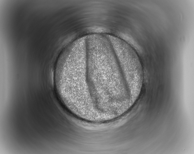 X0000096450014200802141521